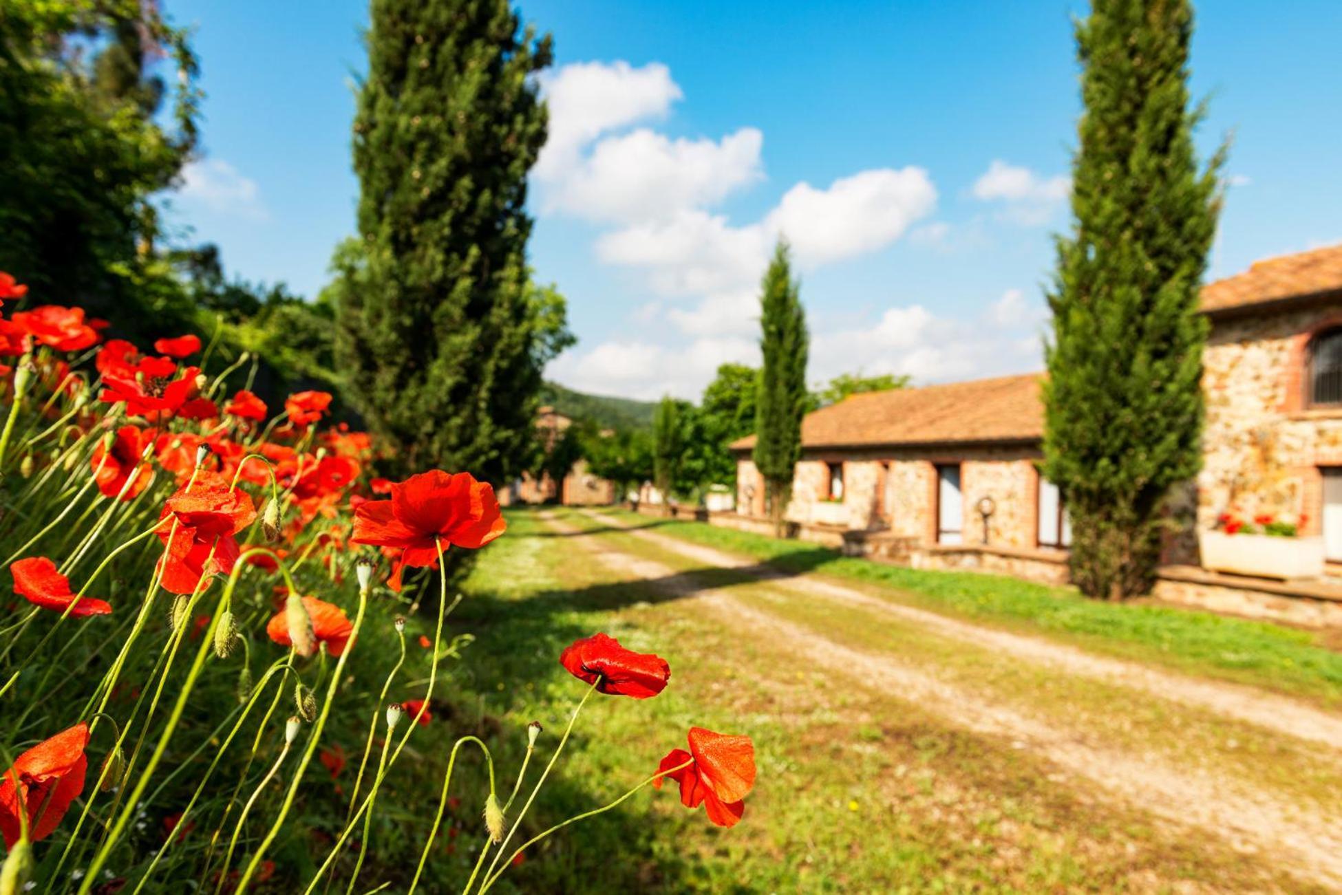 Ferienwohnung Podere Cascatelle&Agriletizia - Cascate Naturali Massa Marittima Exterior foto